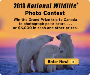 Enter the 2013 photo contest today!